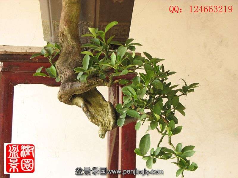 IMG_1627_副本.jpg