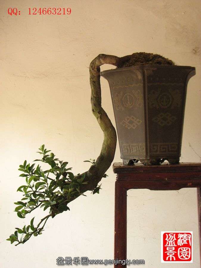 IMG_1630_副本.jpg