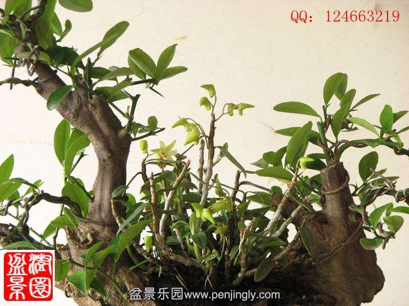 IMG_1636_副本.jpg