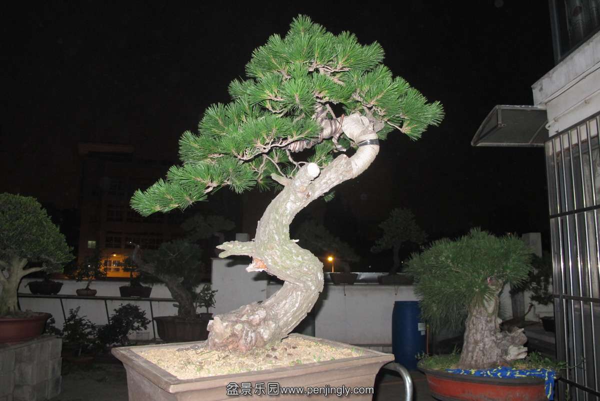 ˳5.JPG