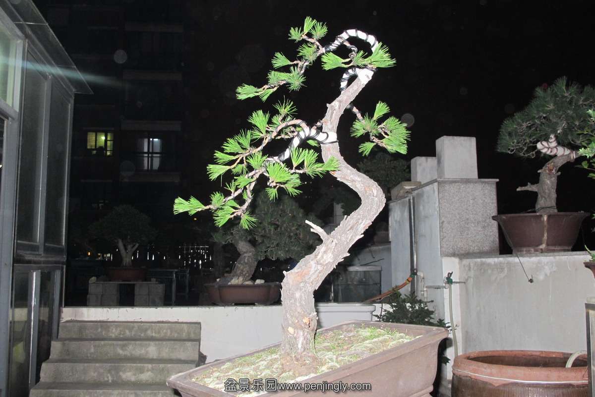 ˳2.JPG
