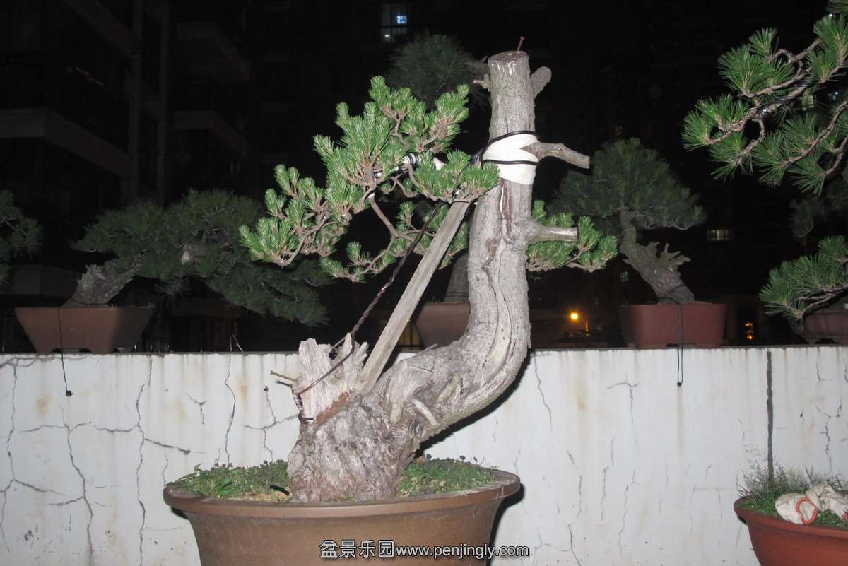 3.JPG
