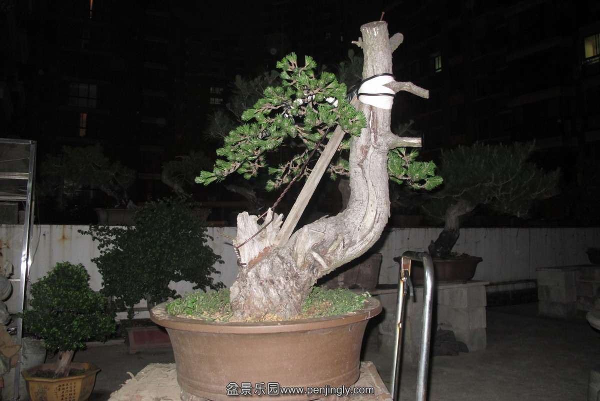 4.JPG