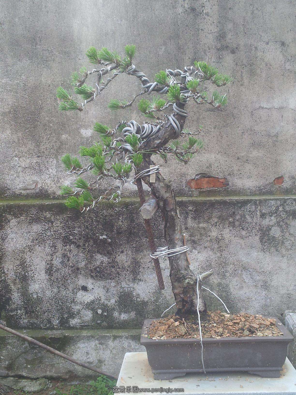 20140601_163333-6.JPG