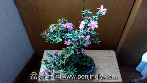 IMG_20140610_151700.jpg