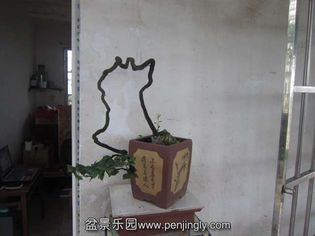 Ƭ 090.jpg