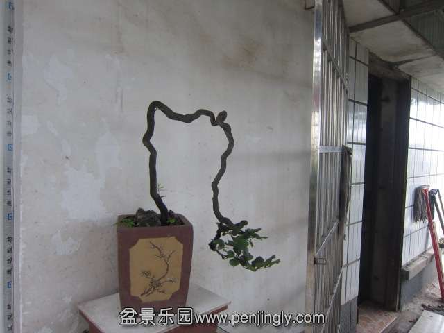 Ƭ 091.jpg