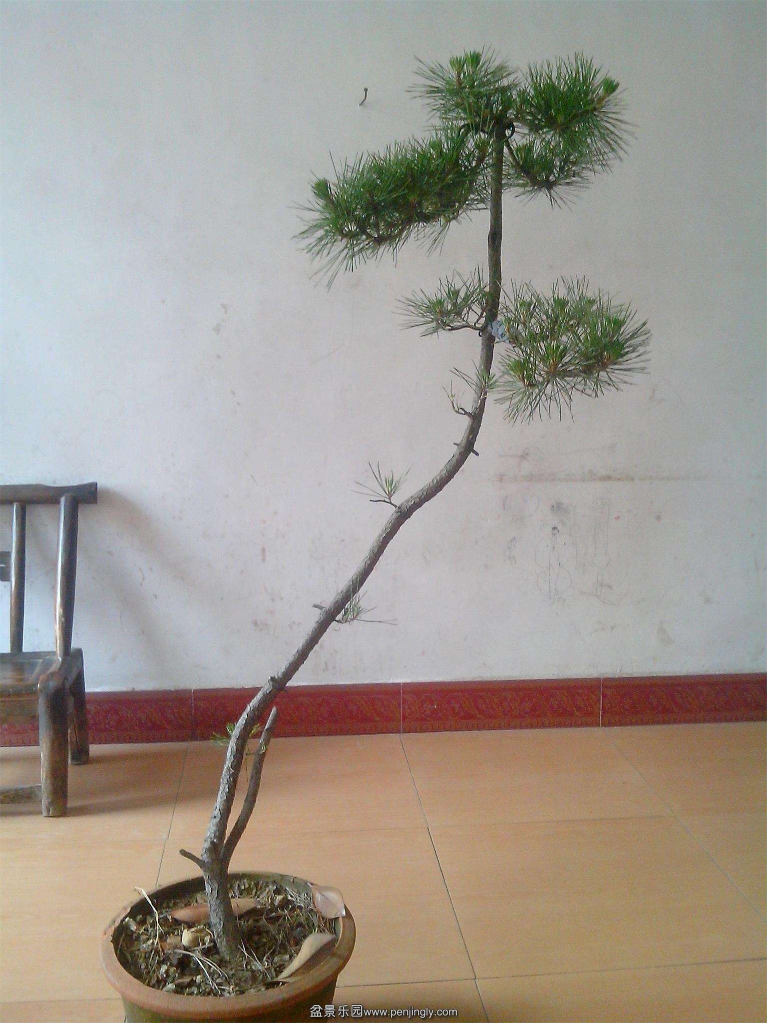 IMG20140608001.jpg