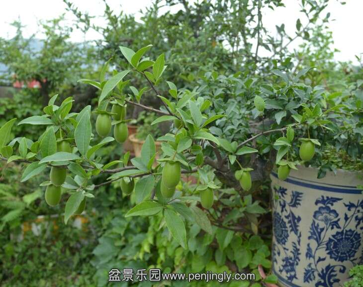 QQ图片20140611115702.jpg