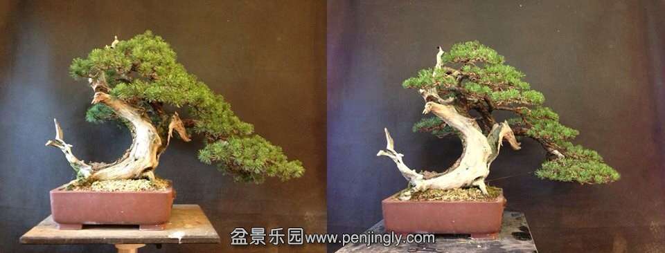 AUTUMN_WORKS2013_1.jpg