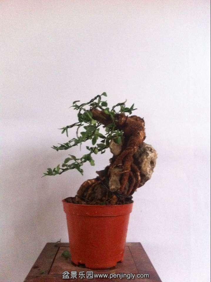 QQͼƬ20140614172424.jpg