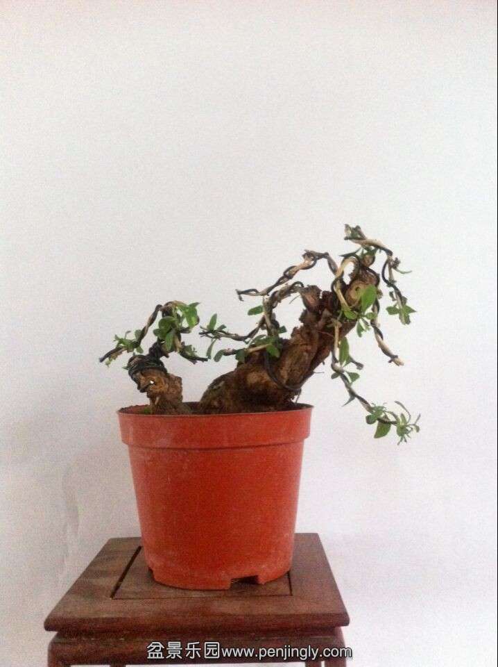 QQͼƬ20140615150536.jpg