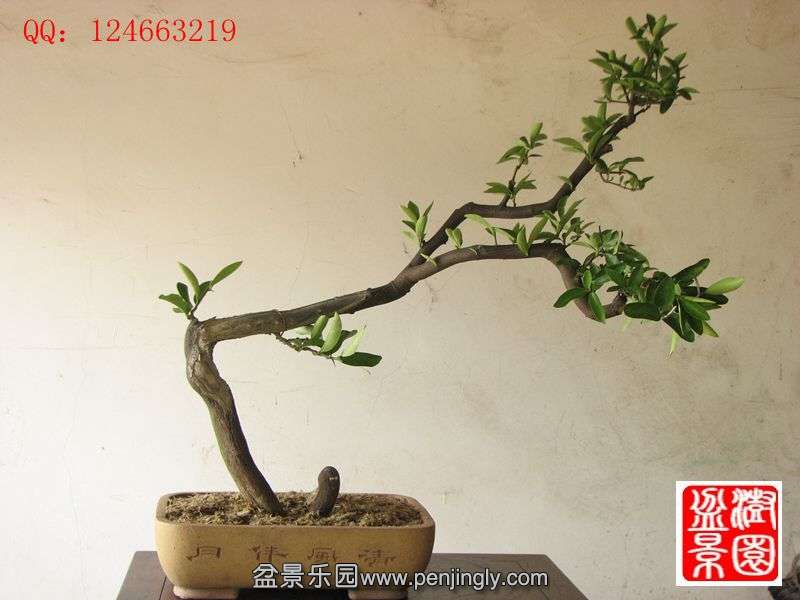 IMG_1686_副本.jpg