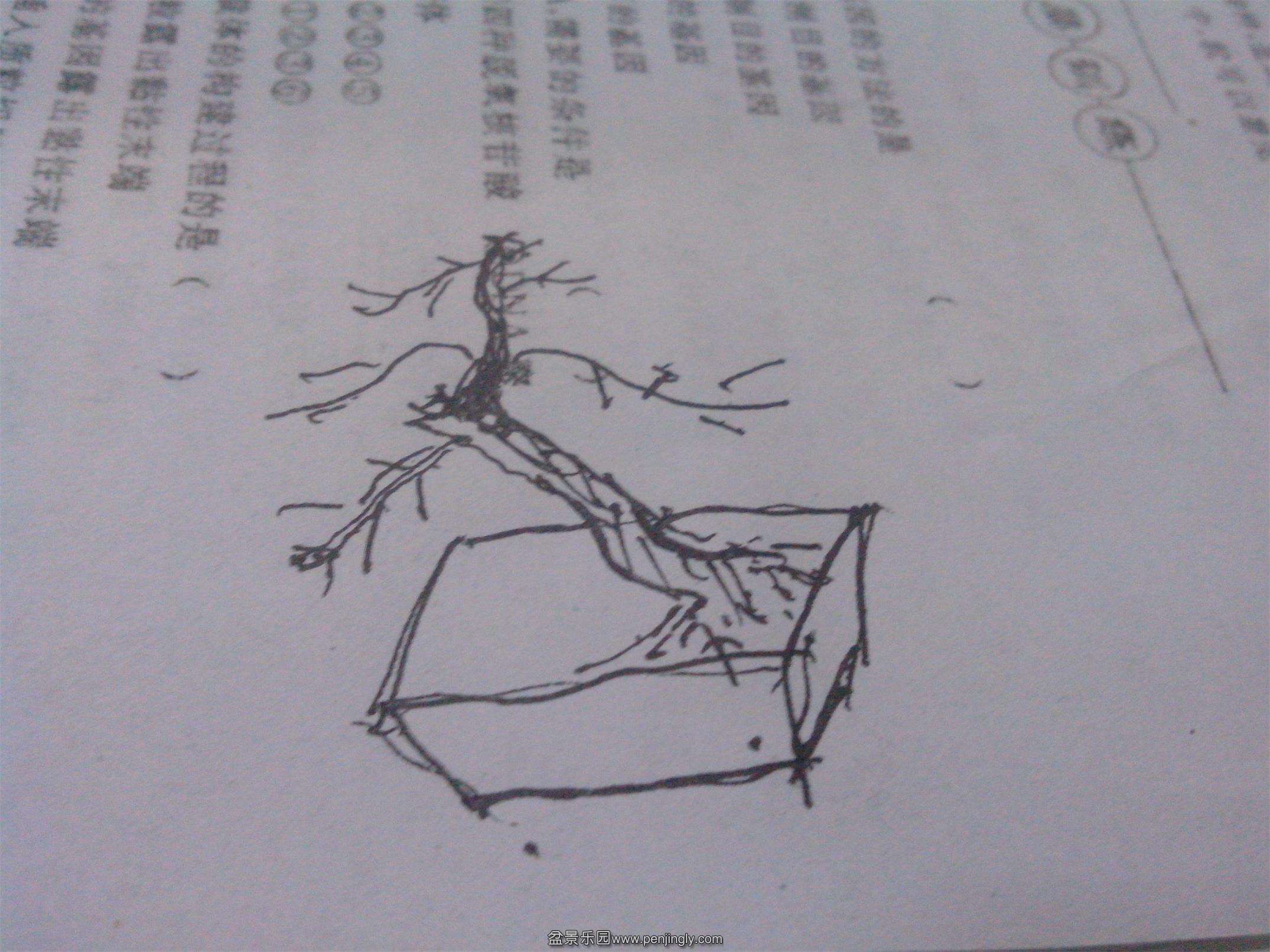 IMG20140617002.jpg