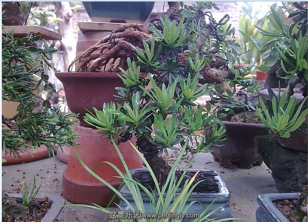 QQͼƬ20140624143432.jpg