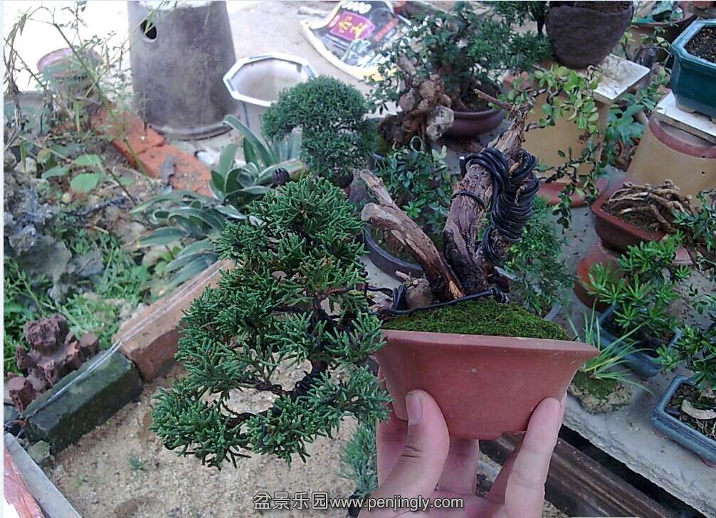 QQ图片20140624143437.jpg