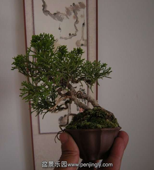 psb (2).jpg