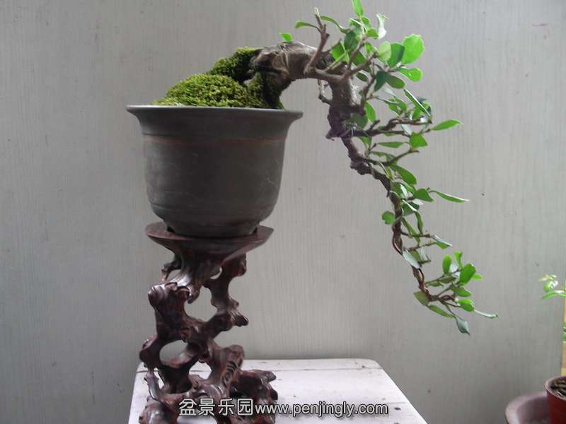 DSCN3736.JPG