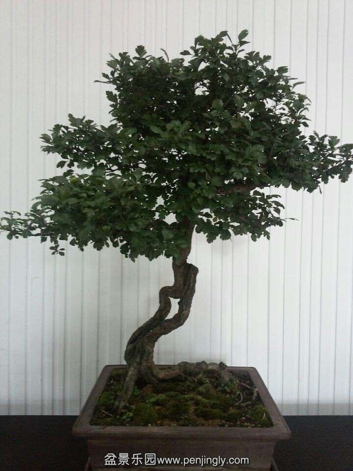 QQͼƬ20140627205906.jpg
