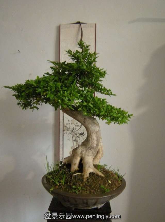psb (1).jpg