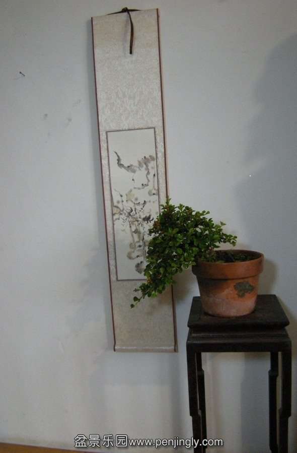 psb (1).jpg