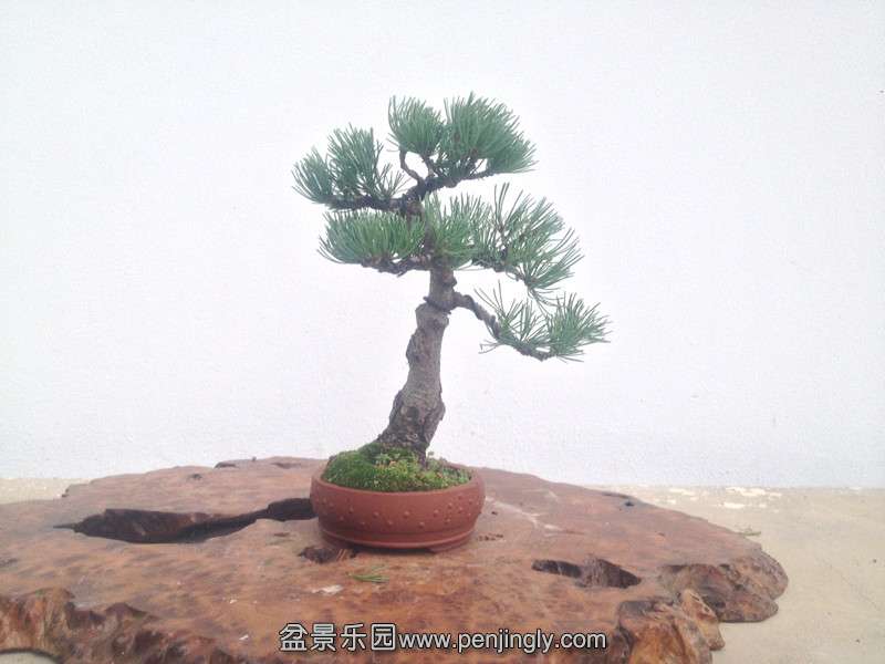 QQͼƬ20140629191808_.jpg