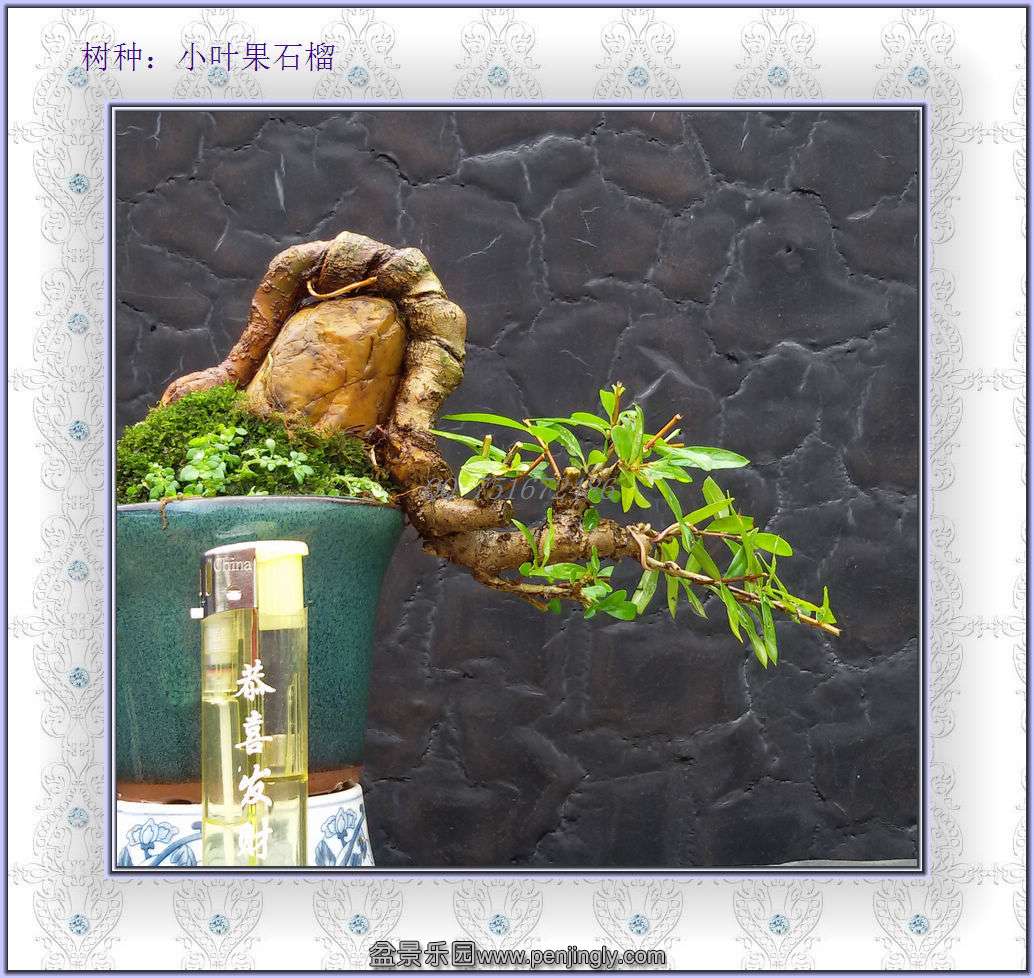 ˮʯ13.1.jpg