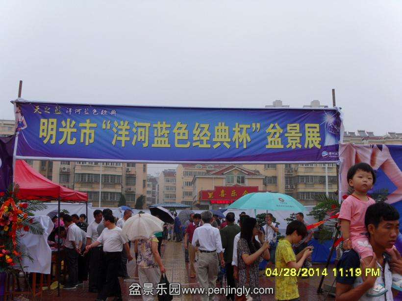 SDC13289.JPG