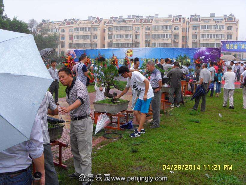 SDC13290.JPG