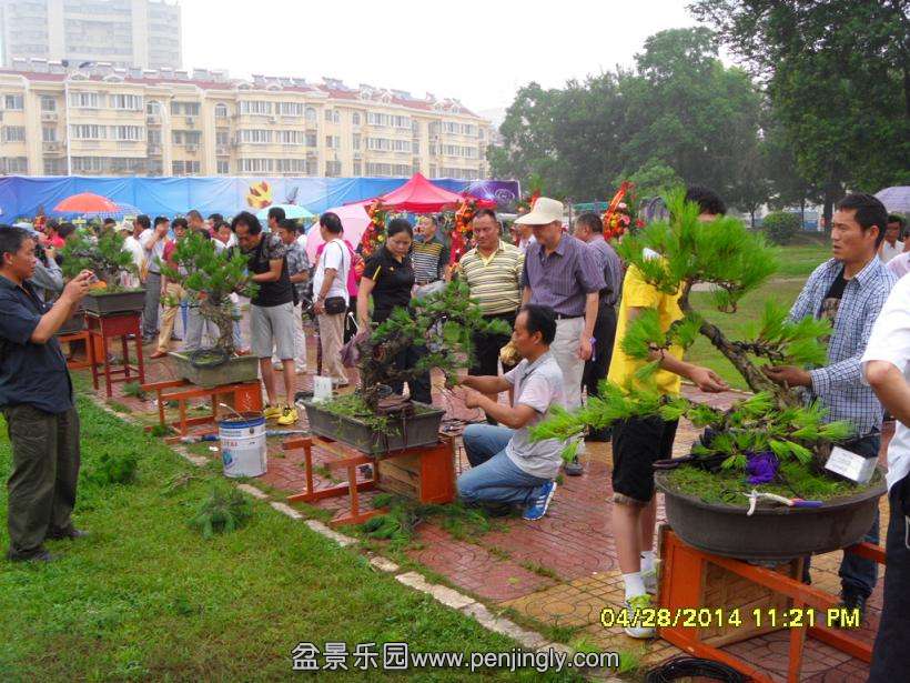 SDC13291.JPG