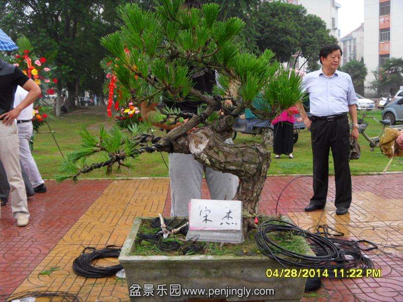 SDC13294.JPG