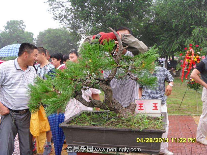 SDC13295.JPG