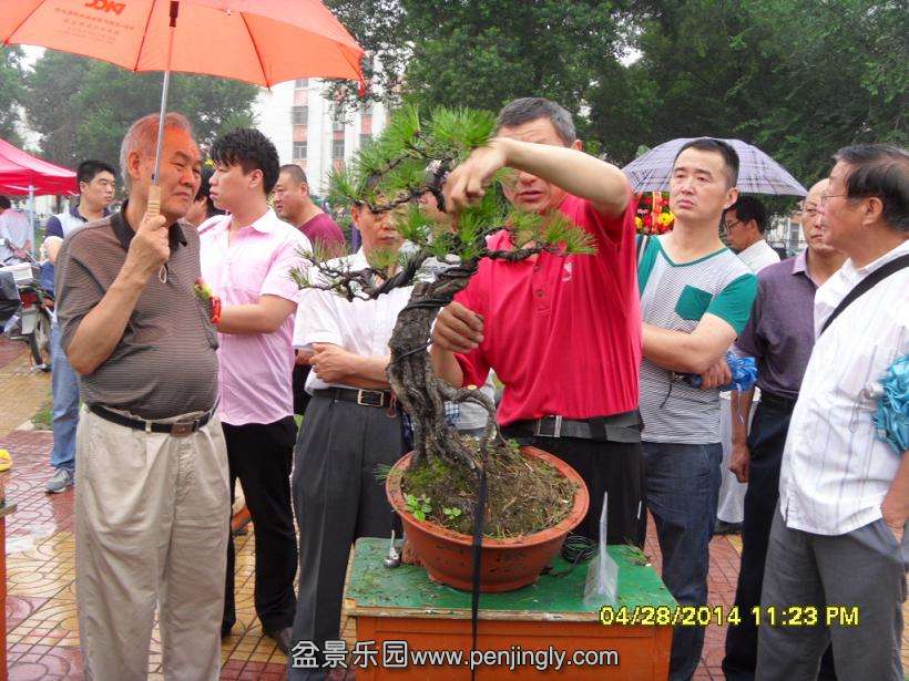SDC13297.JPG