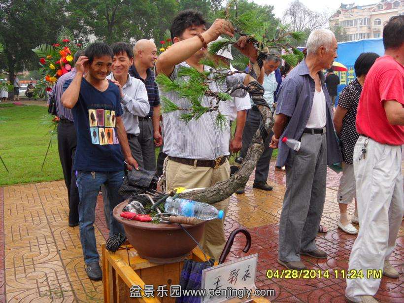 SDC13301.JPG