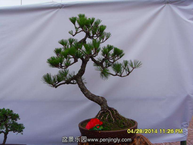SDC13307.JPG