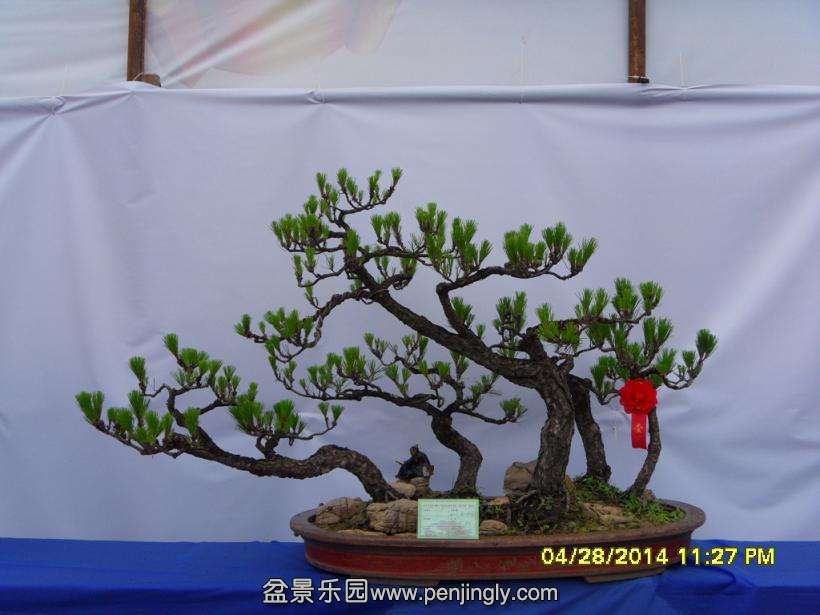 SDC13309.JPG
