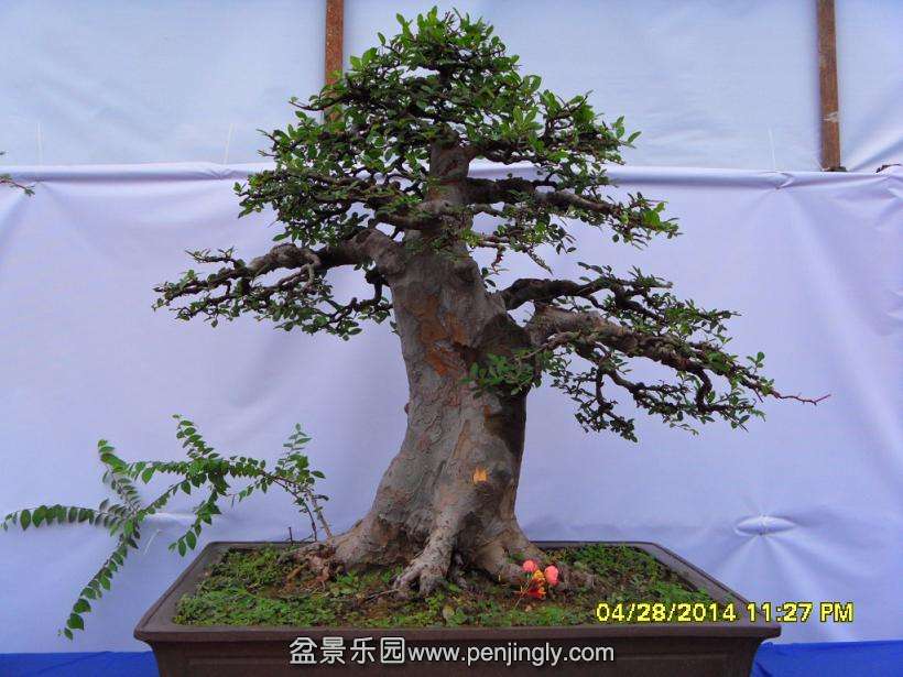 SDC13310.JPG