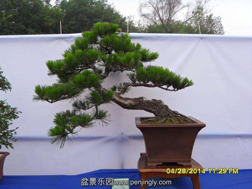 SDC13314.JPG