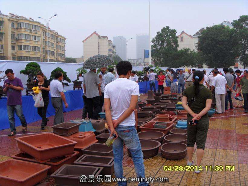 SDC13319.JPG
