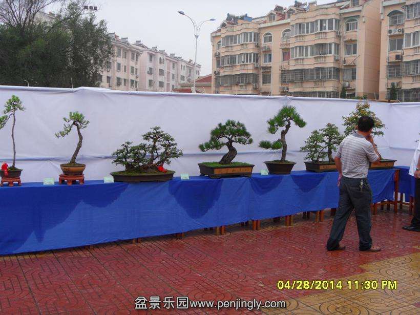 SDC13320.JPG