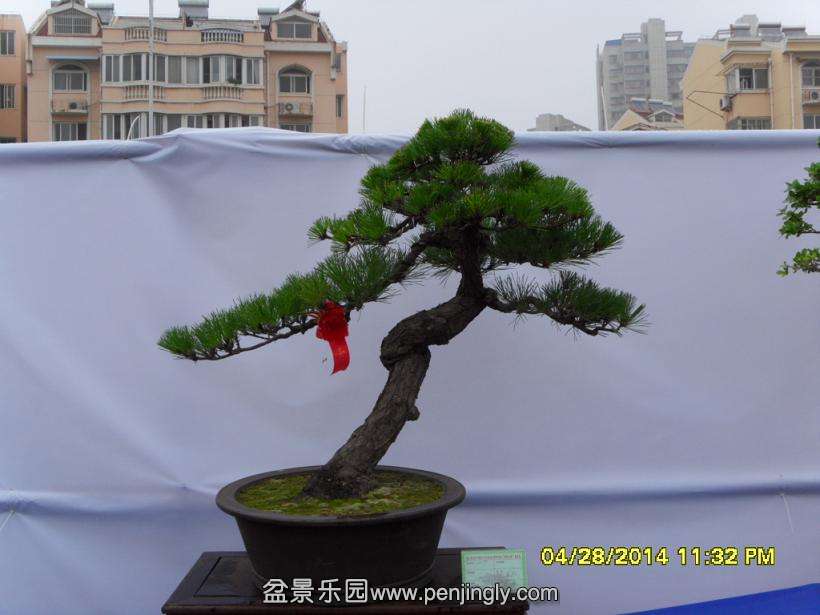 SDC13322.JPG
