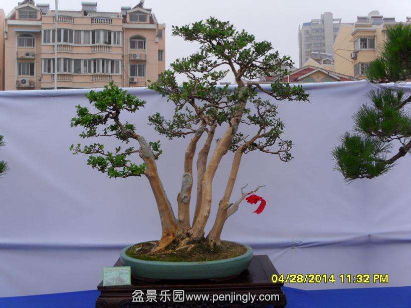 SDC13324.JPG