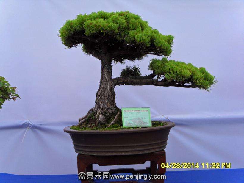 SDC13325.JPG