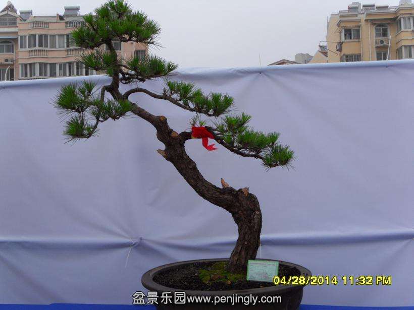 SDC13326.JPG