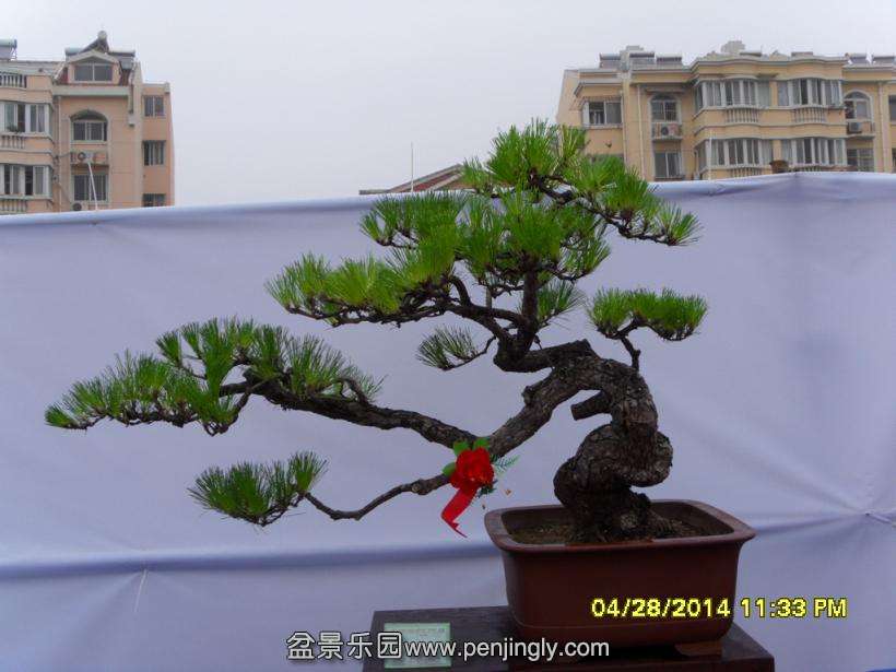 SDC13327.JPG
