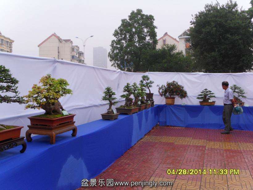 SDC13328.JPG
