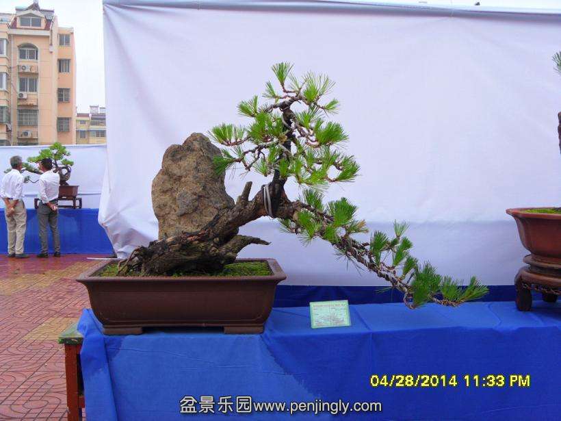 SDC13330.JPG