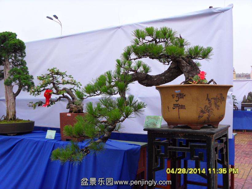 SDC13335.JPG