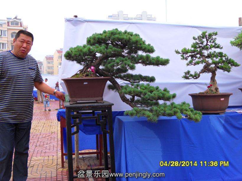 SDC13339.JPG