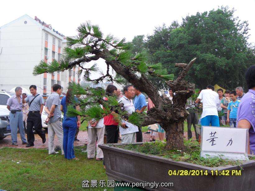 SDC13340.JPG